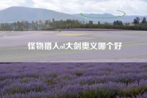 怪物猎人ol大剑奥义哪个好