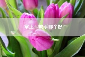 掌上dnf助手哪个好