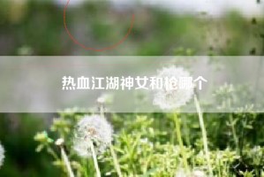 热血江湖神女和枪哪个