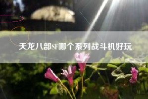 天龙八部SF哪个系列战斗机好玩