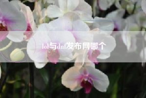 lol与dnf发布网哪个