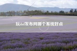 玩dnf发布网哪个系统好点