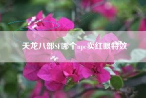 天龙八部SF哪个npc卖红眼特效