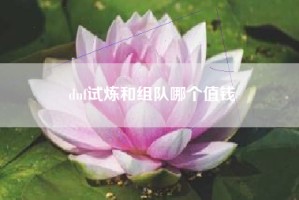 dnf试炼和组队哪个值钱