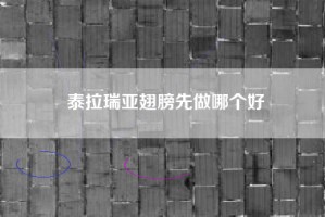 泰拉瑞亚翅膀先做哪个好