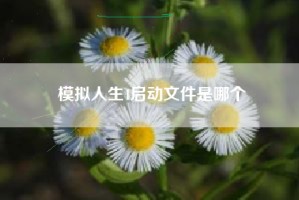 模拟人生4启动文件是哪个