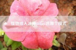 怪物猎人冰原ps4pro选哪个模式