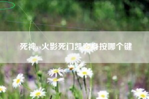 死神vs火影死门凯变身按哪个键
