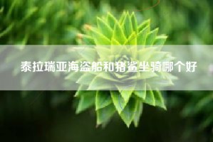 泰拉瑞亚海盗船和猪鲨坐骑哪个好
