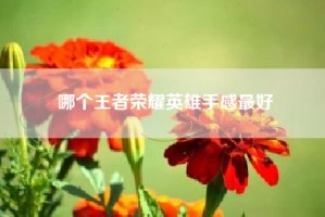 哪个王者荣耀英雄手感最好