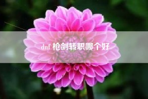 dnf 枪剑转职哪个好