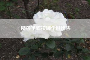 魔兽争霸按哪个键出售