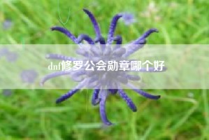 dnf修罗公会勋章哪个好