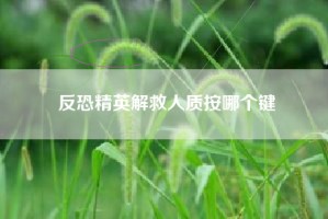 反恐精英解救人质按哪个键