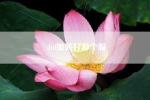 dnf搬砖打哪个服