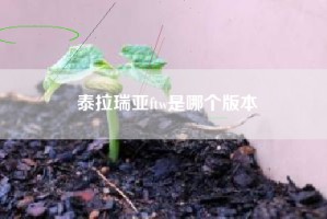 泰拉瑞亚ftw是哪个版本