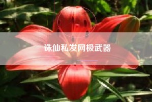 诛仙私发网极武器