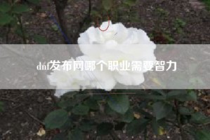 dnf发布网哪个职业需要智力