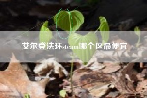 艾尔登法环steam哪个区最便宜