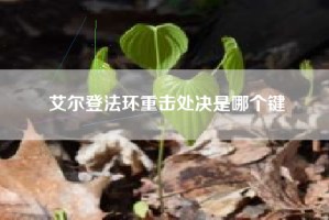 艾尔登法环重击处决是哪个键