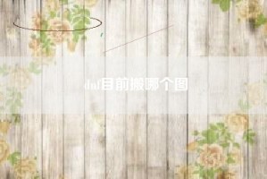 dnf目前搬哪个图