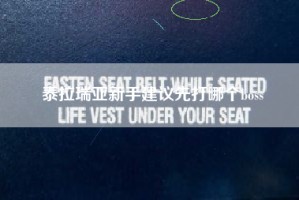 泰拉瑞亚新手建议先打哪个boss