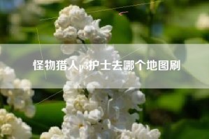 怪物猎人p3护士去哪个地图刷