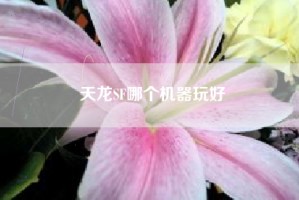 天龙SF哪个机器玩好