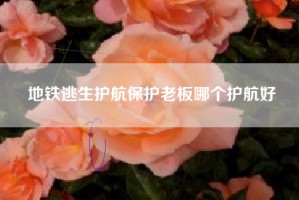 地铁逃生护航保护老板哪个护航好
