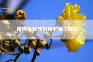 魔兽争霸你们用的哪个版本