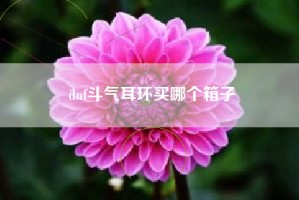dnf斗气耳环买哪个箱子