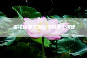 泰拉瑞亚无限战争是哪个模组