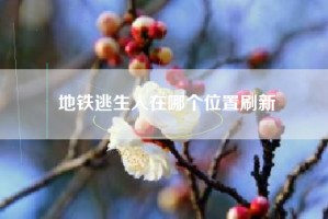 地铁逃生人在哪个位置刷新