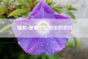 辐射4是哪个公司出的芯片
