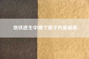地铁逃生中哪个喷子伤害最高