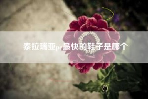 泰拉瑞亚pe最快的鞋子是哪个
