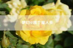 梦幻SF哪个服人多