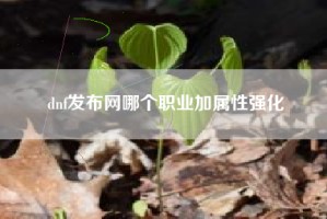 dnf发布网哪个职业加属性强化