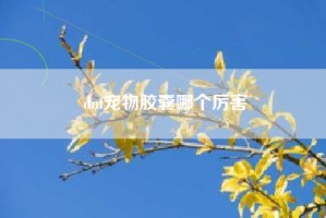 dnf宠物胶囊哪个厉害