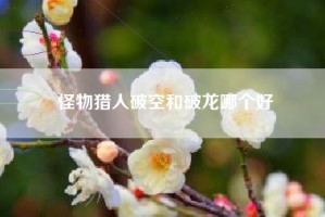 怪物猎人破空和破龙哪个好