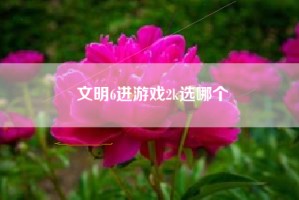 文明6进游戏2k选哪个
