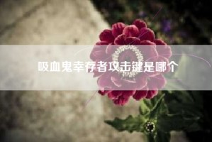 吸血鬼幸存者攻击键是哪个