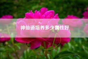 神仙道培养多少属性好