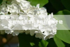 电脑地铁逃生和手机开挂哪个稳