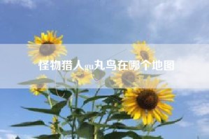怪物猎人gu丸鸟在哪个地图
