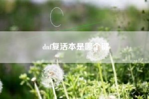 dnf复活本是哪个键