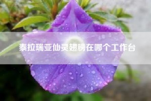 泰拉瑞亚仙灵翅膀在哪个工作台