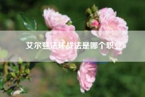 艾尔登法环战法是哪个职业