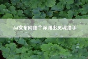 dnf发布网哪个深渊出灵魂猎手