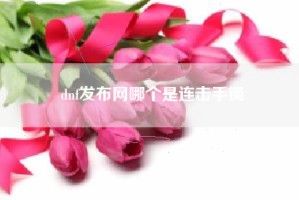 dnf发布网哪个是连击手镯